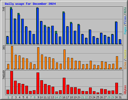 Daily usage for December 2024