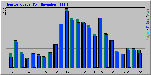Hourly usage for November 2024