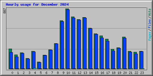 Hourly usage for December 2024