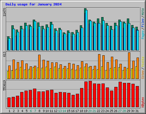 Daily usage for January 2024