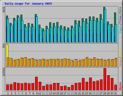 Daily usage for January 2025