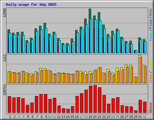 Daily usage for May 2025