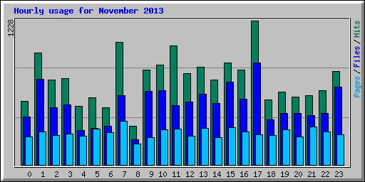 Hourly usage for November 2013