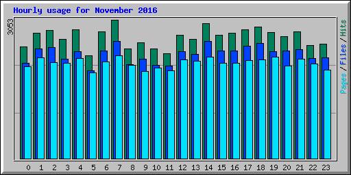 Hourly usage for November 2016