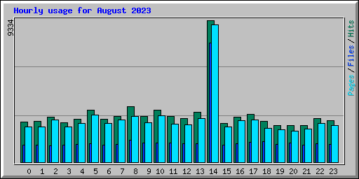 Hourly usage for August 2023