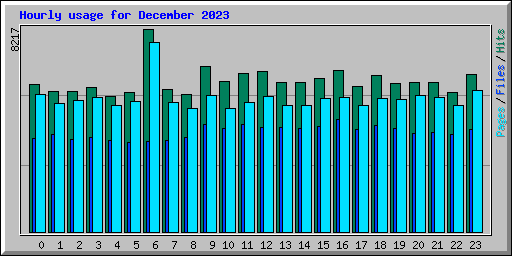 Hourly usage for December 2023