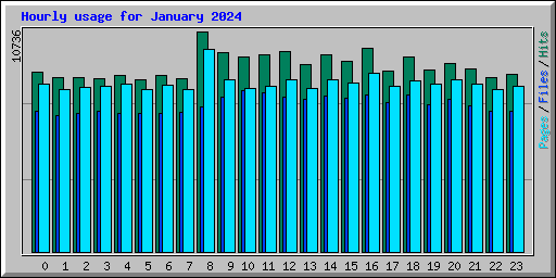 Hourly usage for January 2024