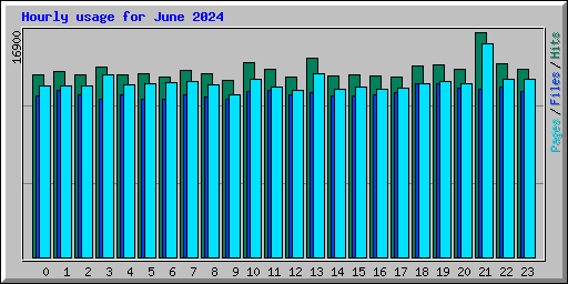 Hourly usage for June 2024