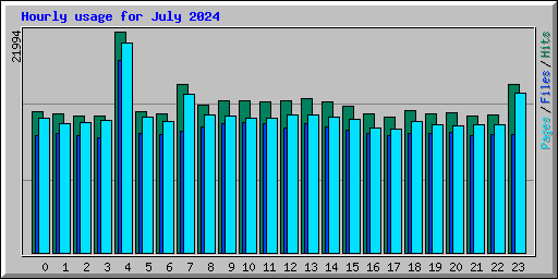 Hourly usage for July 2024