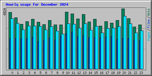 Hourly usage for December 2024