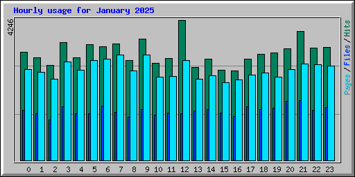 Hourly usage for January 2025
