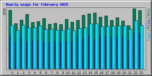 Hourly usage for February 2025