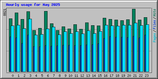 Hourly usage for May 2025