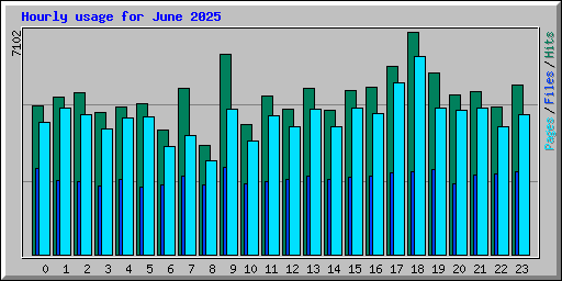 Hourly usage for June 2025