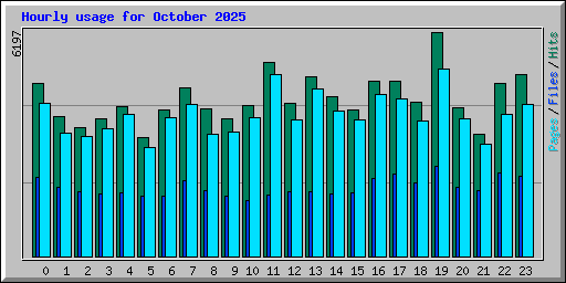 Hourly usage for October 2025
