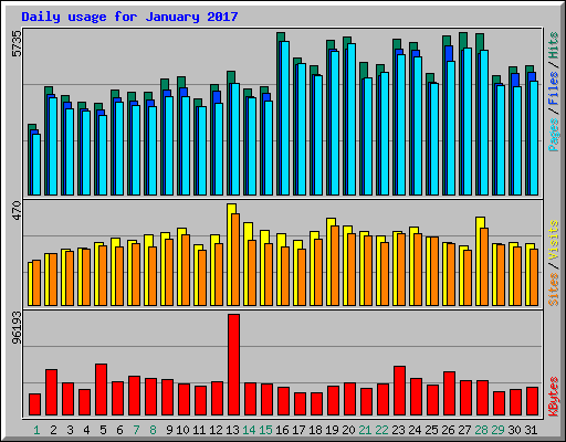 Daily usage for January 2017
