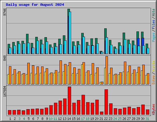 Daily usage for August 2024