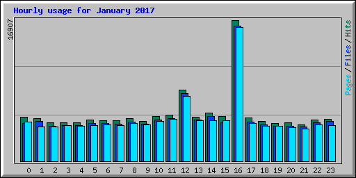 Hourly usage for January 2017