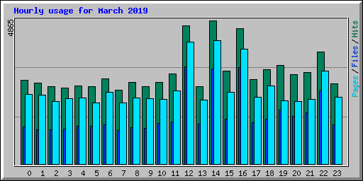 Hourly usage for March 2019