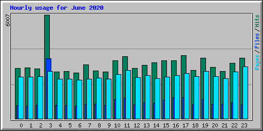 Hourly usage for June 2020