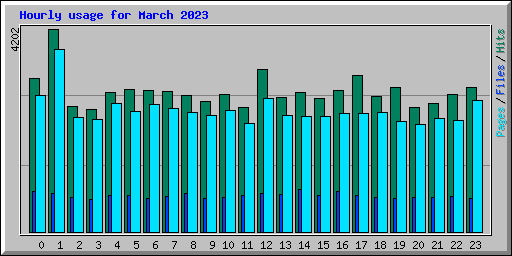 Hourly usage for March 2023