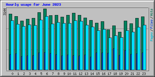 Hourly usage for June 2023