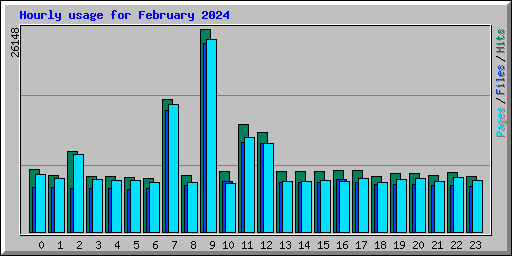 Hourly usage for February 2024
