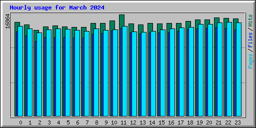 Hourly usage for March 2024