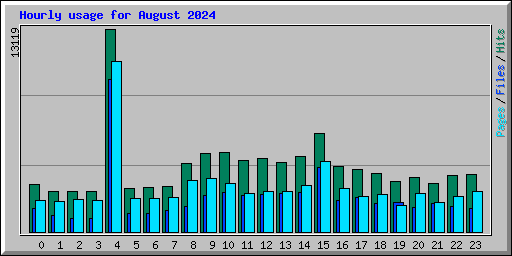 Hourly usage for August 2024
