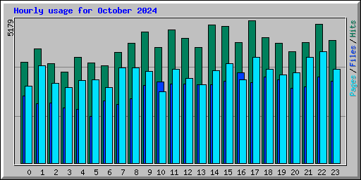 Hourly usage for October 2024