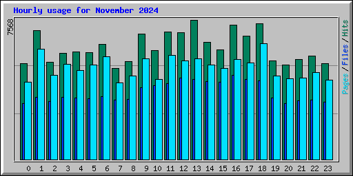 Hourly usage for November 2024