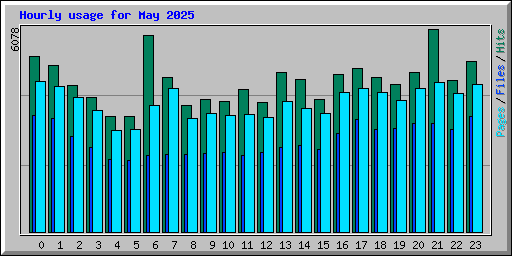 Hourly usage for May 2025