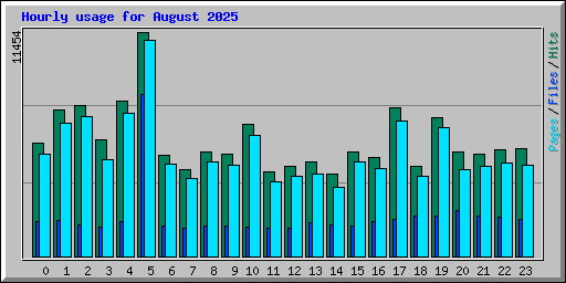 Hourly usage for August 2025