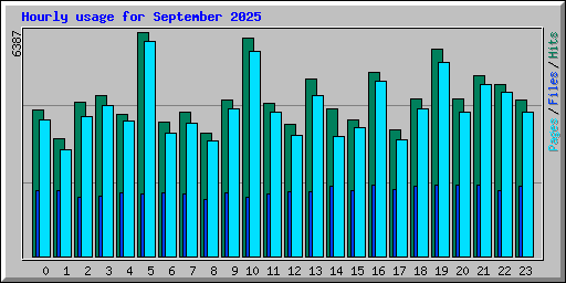 Hourly usage for September 2025